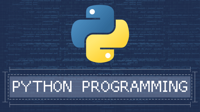 Python Programming