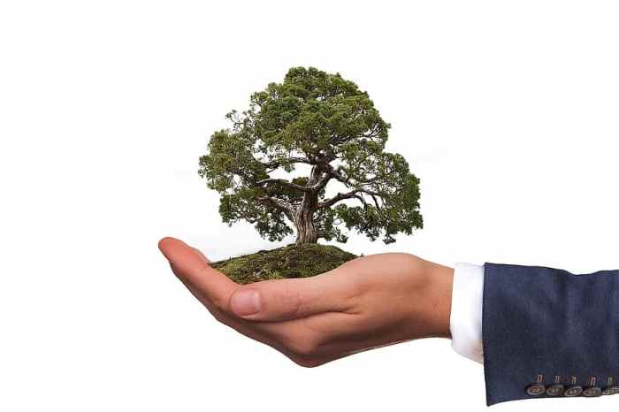 Free Images : hand, globe, world, help, earth, illustration, diagram ...