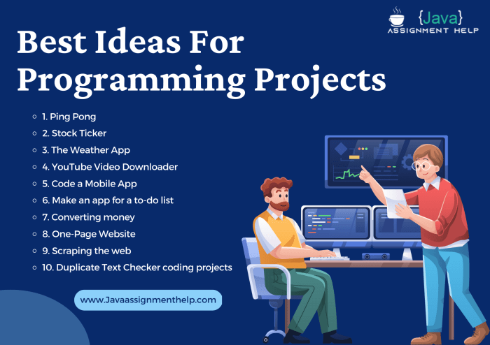 Programming project ideas