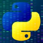Here's a detailed plan to learn the Python programming language ...