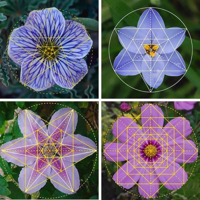 Sacred Geometry Explained - Jain 108 Academy